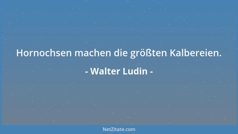 Walter Ludin - Wie wählen wir von zwei Übeln das kleinere, wenn beide gleich groß sind?...