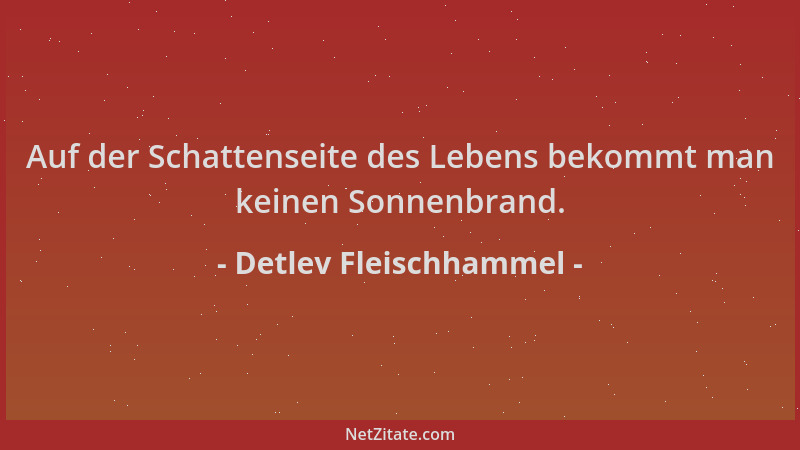 Detlev Fleischhammel - Auf der Schattenseite des Lebens bekommt man keinen Sonnenbrand....