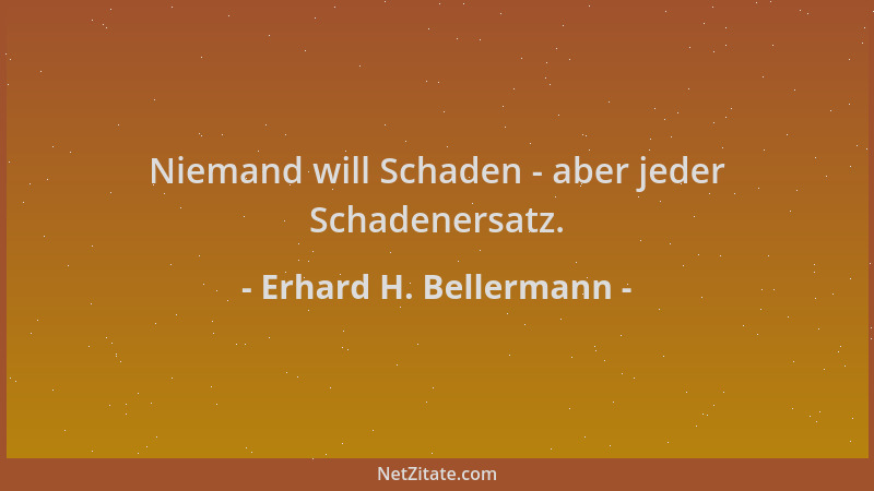 Erhard H. Bellermann - Niemand will Schaden - aber jeder Schadenersatz....