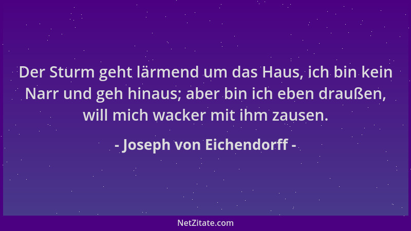 Joseph von Eichendorff - Der Sturm geht lärmend um das Haus, ich bin kein Narr und geh hinaus; aber bin ich eben draußen, w...
