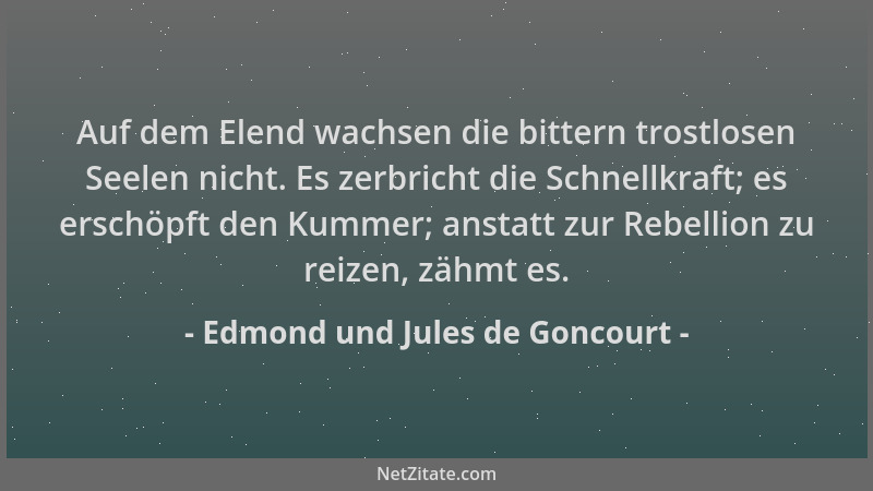 Edmond und Jules de Goncourt - Auf dem Elend wachsen die bittern trostlosen Seelen nicht. Es zerbricht die Schnellkraft; es...