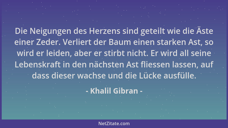 Khalil Gibran - Die Neigungen des Herzens sind geteilt wie die Äste einer Zeder. Verliert der Baum einen starken Ast, so wi...