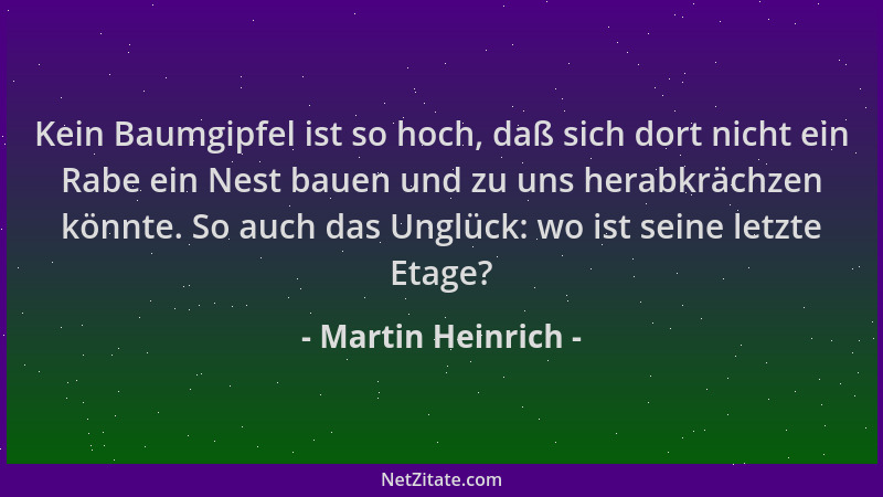 Martin Heinrich - Kein Baumgipfel ist so hoch, daß sich dort nicht ein Rabe ein Nest bauen und zu uns herabkrächzen könnte....