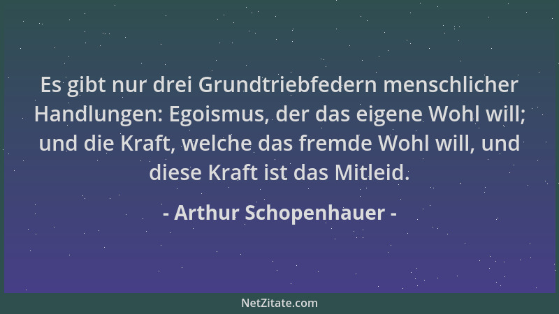 Arthur Schopenhauer - Es gibt nur drei Grundtriebfedern menschlicher Handlungen: Egoismus, der das eigene Wohl will; und di...