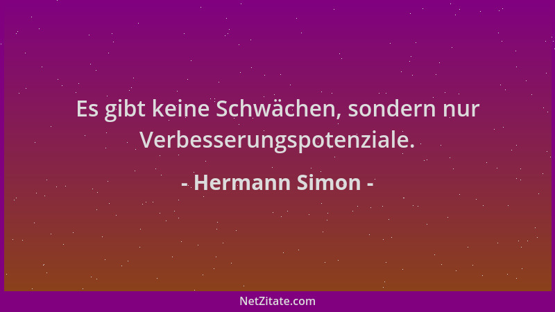 Hermann Simon - Es gibt keine Schwächen, sondern nur Verbesserungspotenziale....