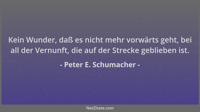 Peter E. Schumacher - Kein Wunder, daß es nicht mehr vorwärts geht, bei all der Vernunft, die auf der Strecke geblieben ist...
