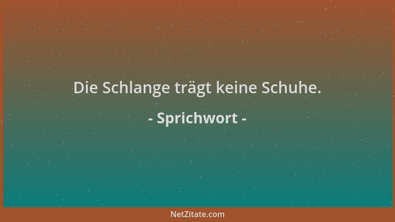 Sprichwort - Die Schlange trägt keine Schuhe....
