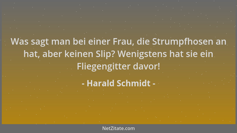 Harald Schmidt - Was sagt man bei einer Frau, die Strumpfhosen an hat, aber keinen Slip? Wenigstens hat sie ein Fliegengitt...