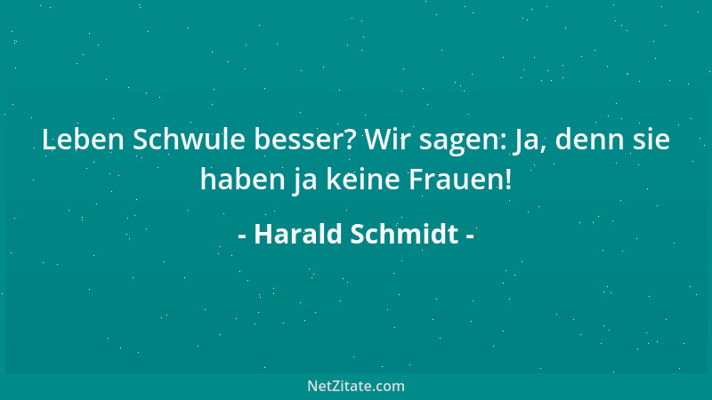 Harald Schmidt - Leben Schwule besser? Wir sagen: Ja, denn sie haben ja keine Frauen!...