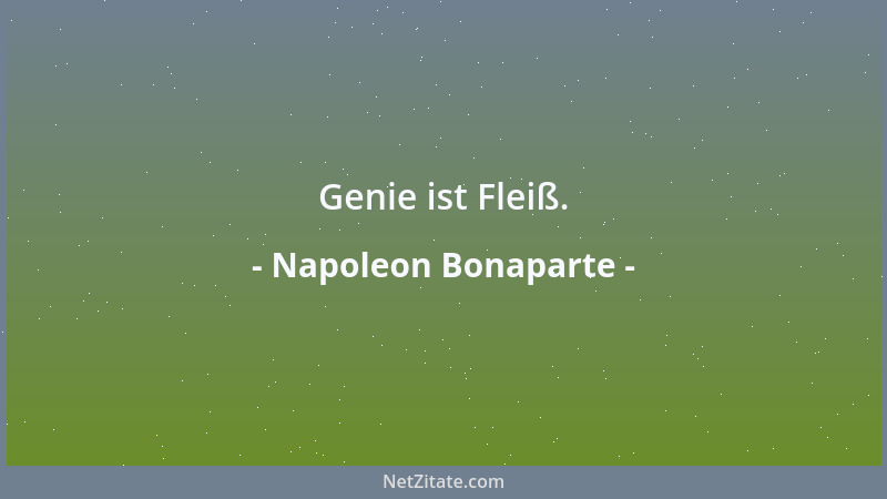 Napoleon Bonaparte - Genie ist Fleiß....