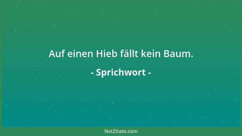 Sprichwort - Man soll nicht mit beschmutztem Finger nach den Flecken anderer weisen....