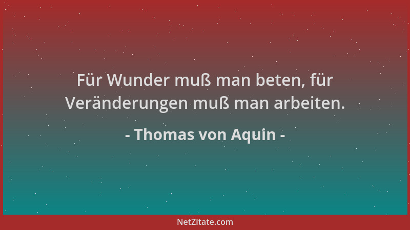 Thomas von Aquin - Für Wunder muß man beten, für Veränderungen muß man arbeiten....