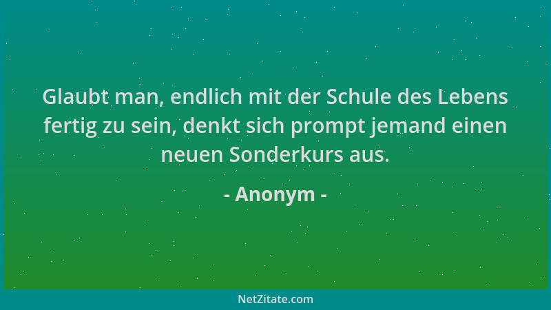 Anonym - Glaubt man, endlich mit der Schule des Lebens fertig zu sein, denkt sich prompt jemand einen neuen Sonderkurs aus....