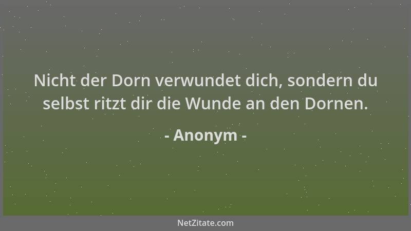 Anonym - Nicht der Dorn verwundet dich, sondern du selbst ritzt dir die Wunde an den Dornen....