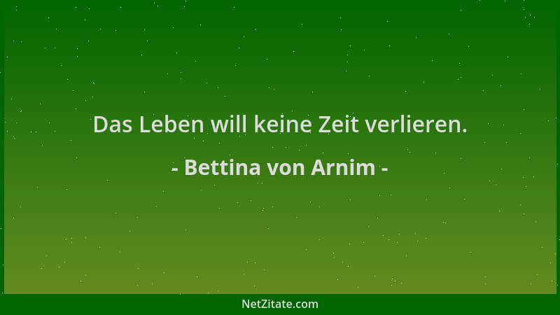 Bettina von Arnim - Das Leben will keine Zeit verlieren....