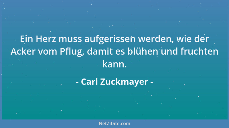 Carl Zuckmayer - Ein Herz muss aufgerissen werden, wie der Acker vom Pflug, damit es blühen und fruchten kann....