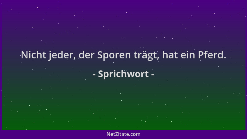 Sprichwort - Nicht jeder, der Sporen trägt, hat ein Pferd....