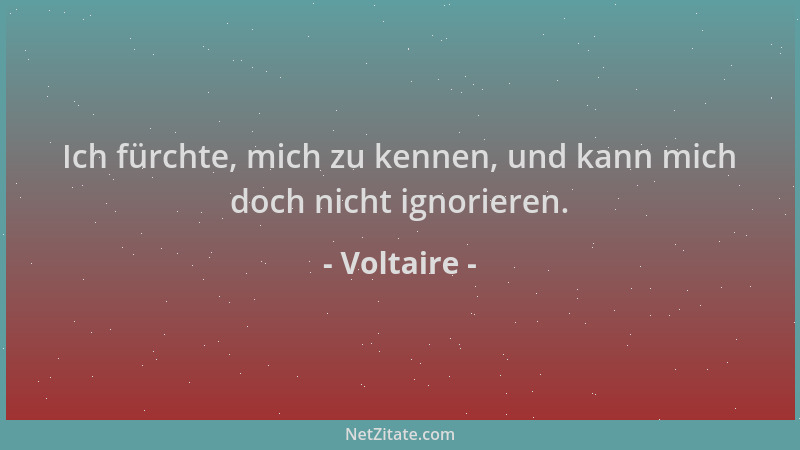 Voltaire - Ich fürchte, mich zu kennen, und kann mich doch nicht ignorieren....