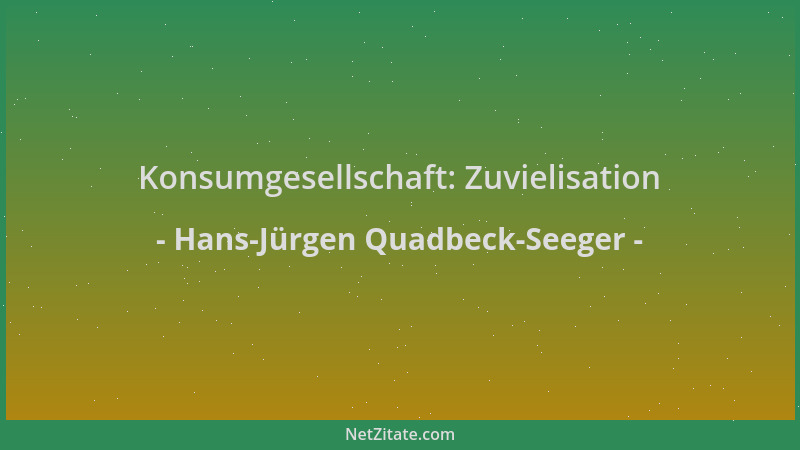 Hans-Jürgen Quadbeck-Seeger - Konsumgesellschaft: Zuvielisation...