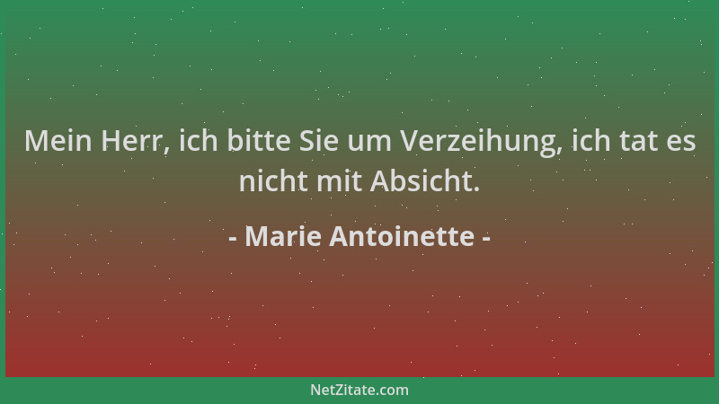 Marie Antoinette - Mein Herr, ich bitte Sie um Verzeihung, ich tat es nicht mit Absicht....