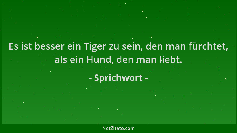 Sprichwort - Es ist besser ein Tiger zu sein, den man fürchtet, als ein Hund, den man liebt....
