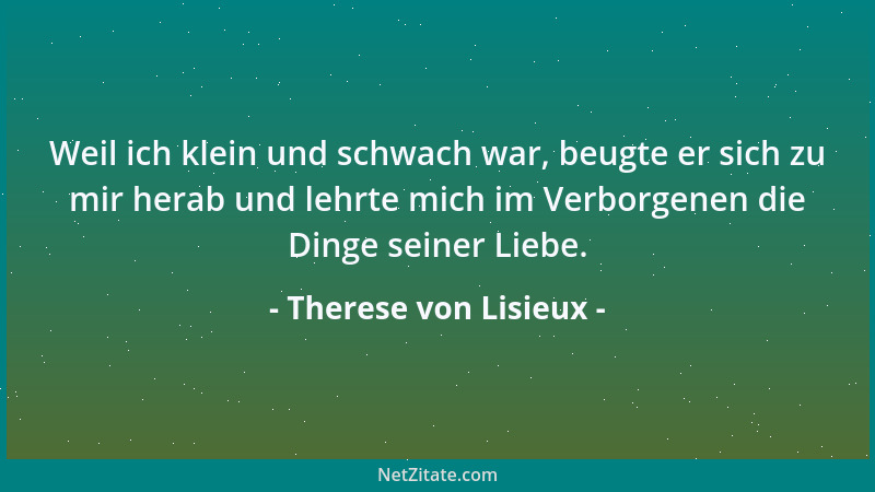 Therese von Lisieux - Weil ich klein und schwach war, beugte er sich zu mir herab und lehrte mich im Verborgenen die Dinge...
