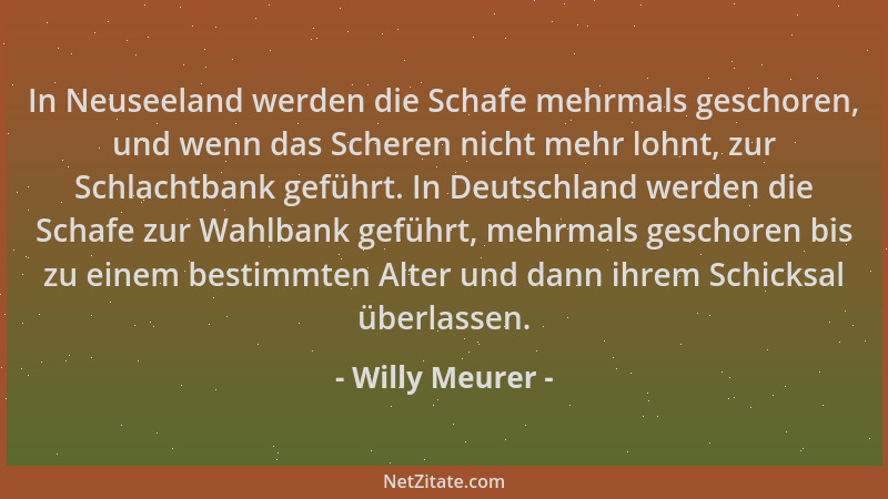 Willy Meurer - In Neuseeland werden die Schafe mehrmals geschoren, und wenn das Scheren nicht mehr lohnt, zur Schlachtbank...