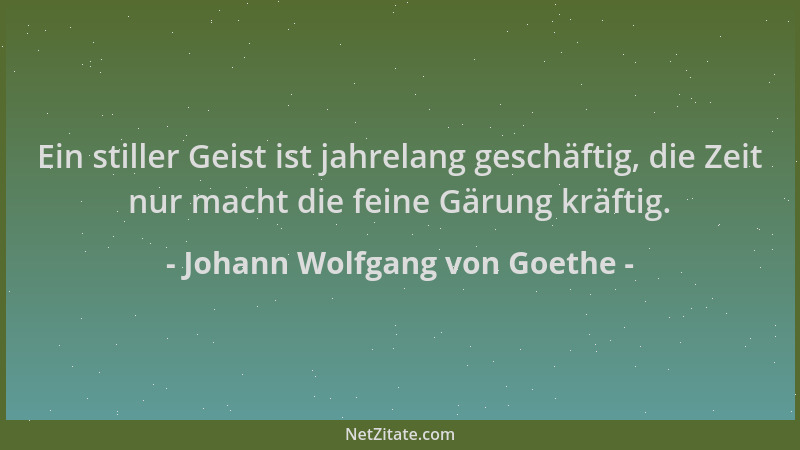 Johann Wolfgang von Goethe - Ein stiller Geist ist jahrelang geschäftig, die Zeit nur macht die feine Gärung kräftig....
