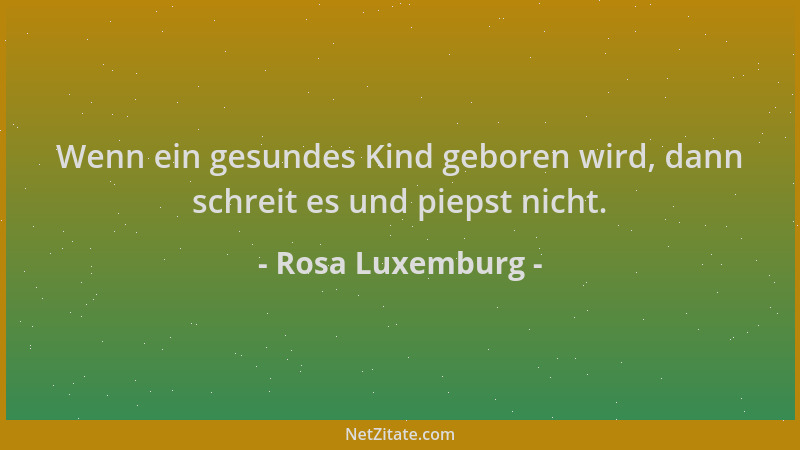 Rosa Luxemburg - Wenn ein gesundes Kind geboren wird, dann schreit es und piepst nicht....