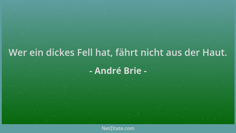 André Brie - Wer ein dickes Fell hat, fährt nicht aus der Haut....