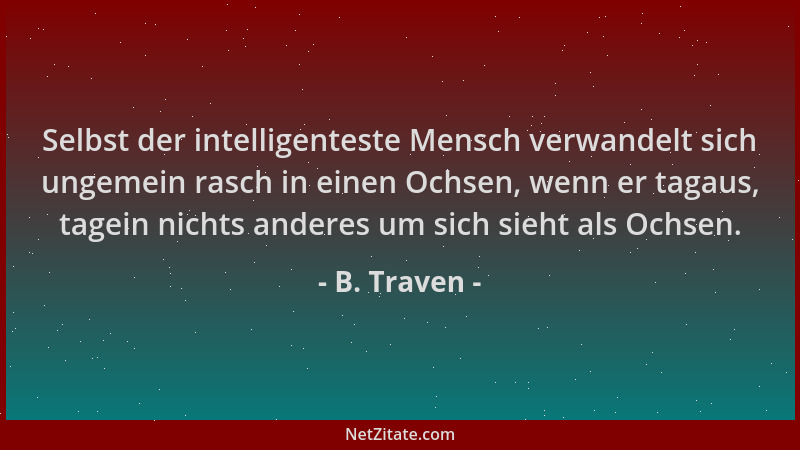 B. Traven - Selbst der intelligenteste Mensch verwandelt sich ungemein rasch in einen Ochsen, wenn er tagaus, tagein nichts...