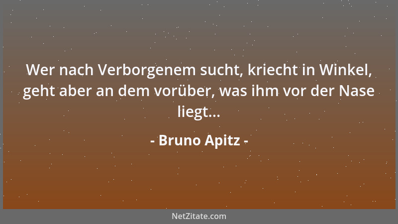 Bruno Apitz - Wer nach Verborgenem sucht, kriecht in Winkel, geht aber an dem vorüber, was ihm vor der Nase liegt......