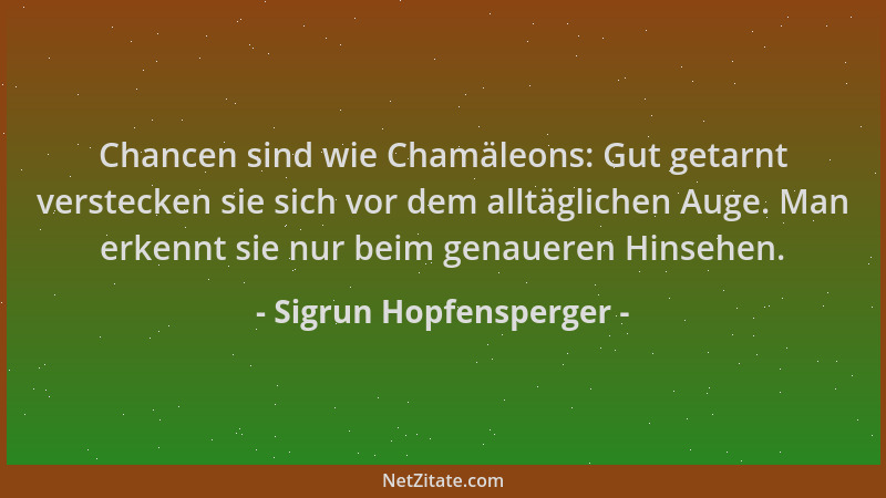 Sigrun Hopfensperger - Chancen sind wie Chamäleons: Gut getarnt verstecken sie sich vor dem alltäglichen Auge. Man erkennt...
