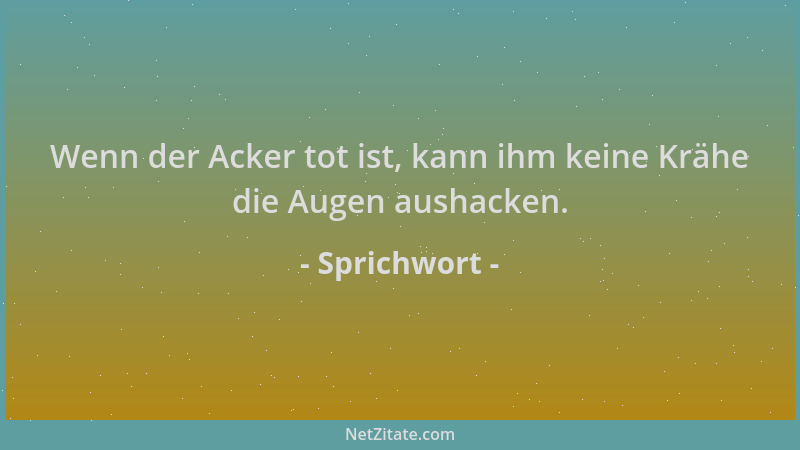 Sprichwort - Wenn der Acker tot ist, kann ihm keine Krähe die Augen aushacken....
