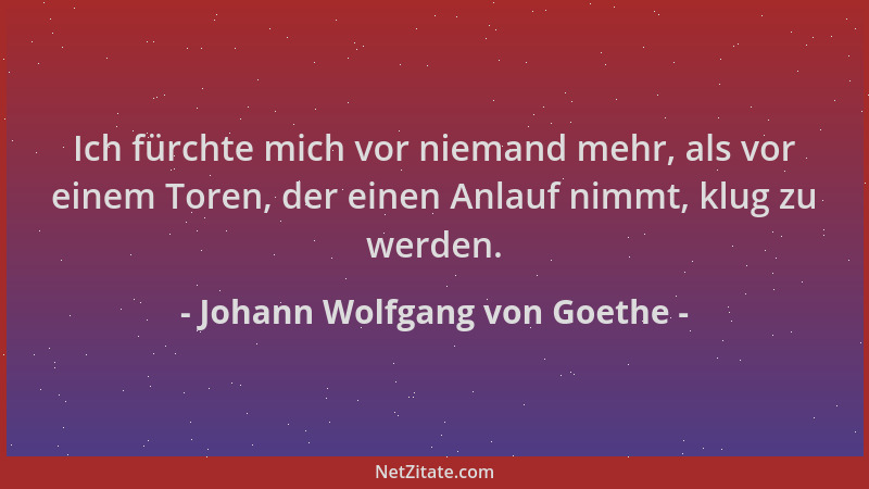 Johann Wolfgang von Goethe - Ich fürchte mich vor niemand mehr, als vor einem Toren, der einen Anlauf nimmt, klug zu werden...