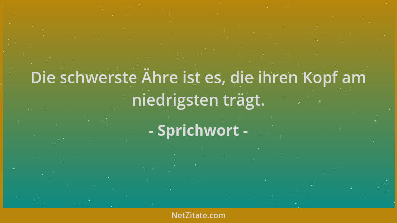 Sprichwort - Die schwerste Ähre ist es, die ihren Kopf am niedrigsten trägt....
