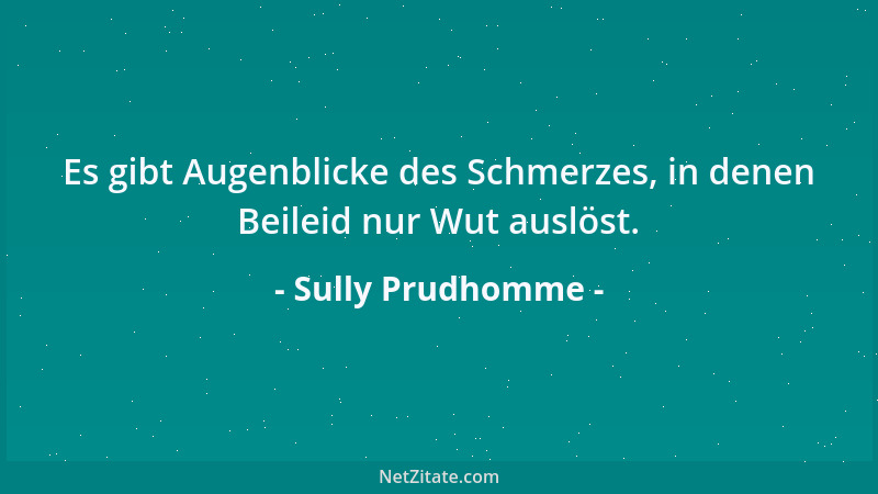 Sully Prudhomme - Es gibt Augenblicke des Schmerzes, in denen Beileid nur Wut auslöst....