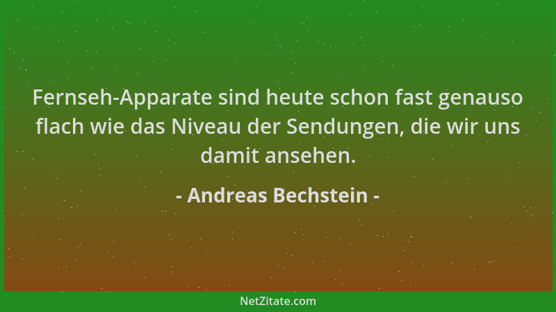 Andreas Bechstein - Fernseh-Apparate sind heute schon fast genauso flach wie das Niveau der Sendungen, die wir uns damit an...
