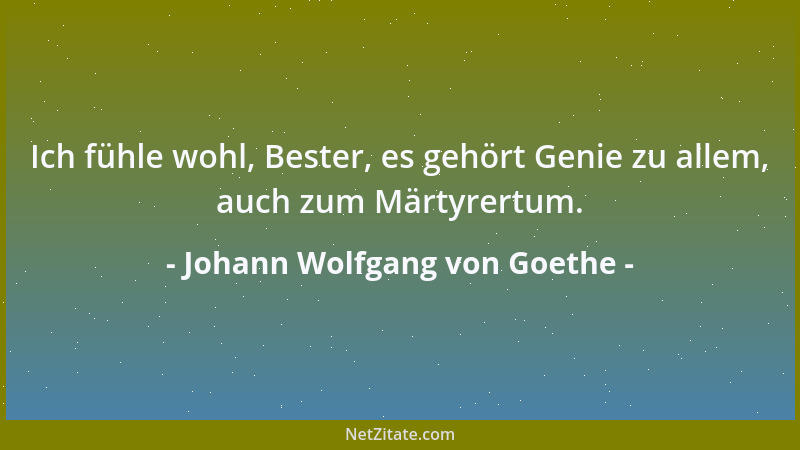Johann Wolfgang von Goethe - in der Gestalt, wie der Mensch die Erde verläßt, wandelt er unter den Schatten, und so bleibt...