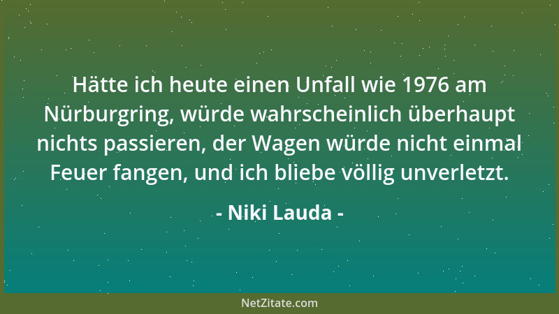 Niki Lauda - Es ist nicht einfach, perfekt zu sein, aber irgendeiner muß es sein....
