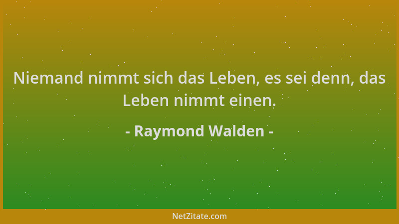 Raymond Walden - Niemand nimmt sich das Leben, es sei denn, das Leben nimmt einen....