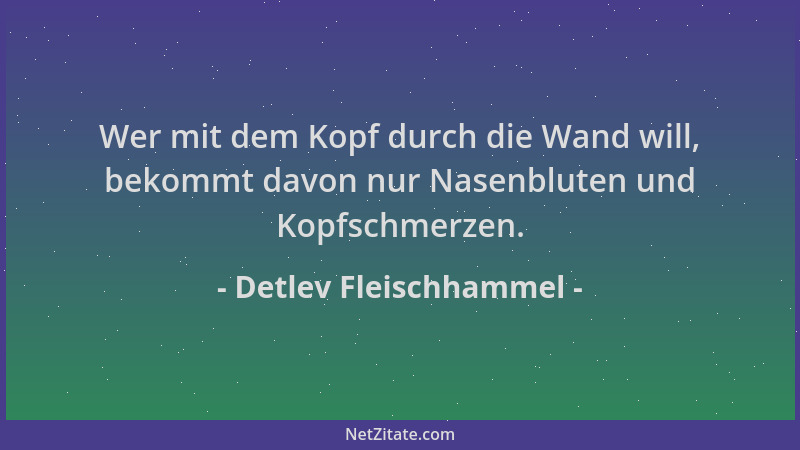 Detlev Fleischhammel - Wer mit dem Kopf durch die Wand will, bekommt davon nur Nasenbluten und Kopfschmerzen....
