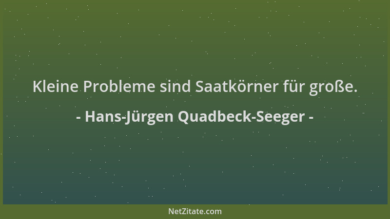 Hans-Jürgen Quadbeck-Seeger - Kleine Probleme sind Saatkörner für große....