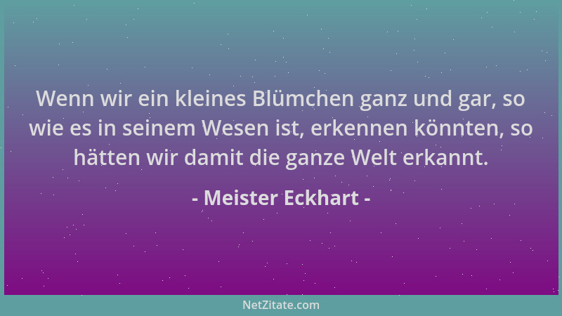 Meister Eckhart - Wenn wir ein kleines Blümchen ganz und gar, so wie es in seinem Wesen ist, erkennen könnten, so hätten wi...