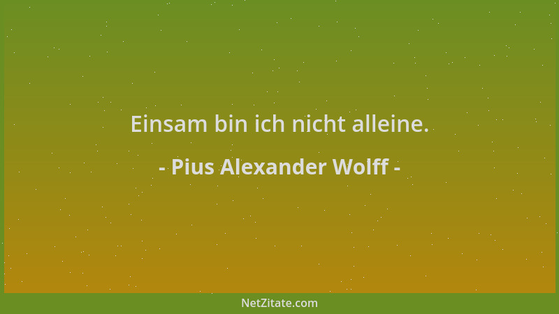 Pius Alexander Wolff - Einsam bin ich nicht alleine....