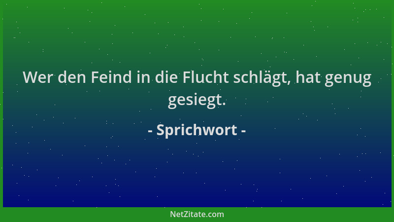 Sprichwort - Wer den Feind in die Flucht schlägt, hat genug gesiegt....