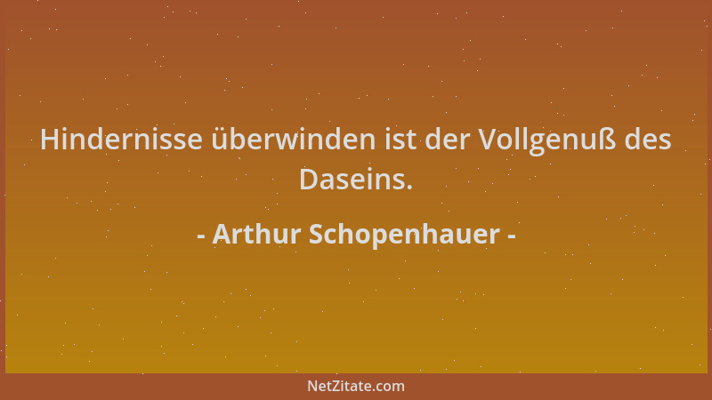 Arthur Schopenhauer - Hindernisse überwinden ist der Vollgenuß des Daseins....