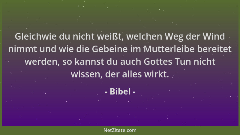 Bibel - Gleichwie du nicht weißt, welchen Weg der Wind nimmt und wie die Gebeine im Mutterleibe bereitet werden, so kannst...