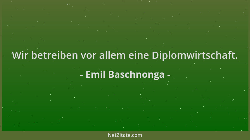 Emil Baschnonga - Wir betreiben vor allem eine Diplomwirtschaft....