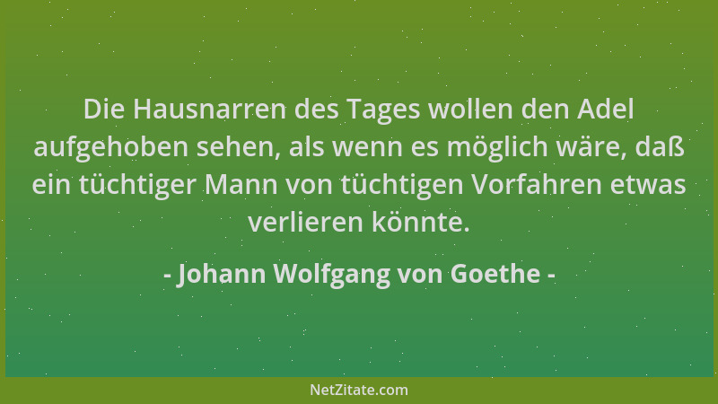Johann Wolfgang von Goethe - Die Hausnarren des Tages wollen den Adel aufgehoben sehen, als wenn es möglich wäre, daß ein t...